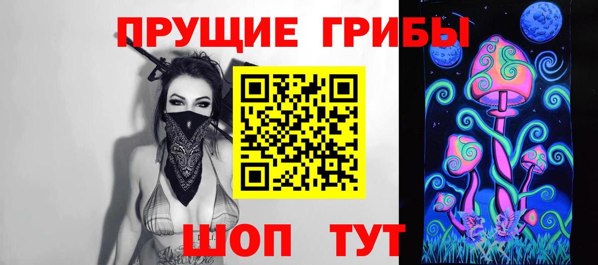 Псилоцибиновые грибы Cubensis Вязники