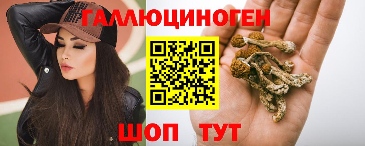 Вязники  наркошоп  Вход с VPN  Псилоцибиновые грибы мухоморы  Галлюциногенные грибы Psilocybe 